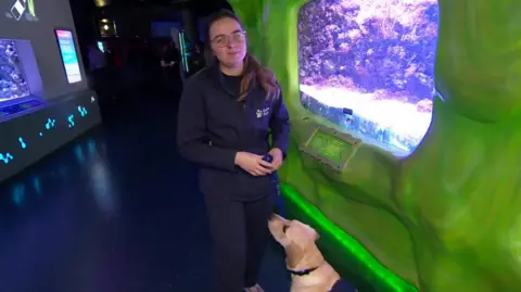 Elsie is wearing a navy top and pants, her long brown hair is tied back in a ponytail and she is wearing glasses on her face. She is holding on to a leash, which is clipped on the collar of a blonde Labrador puppy.