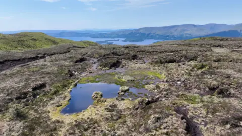 GOLDCREST Land & Forestry Group general view of property including pond