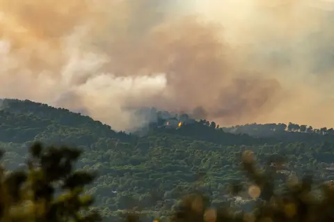AFP via Getty Images Fires in a dense forest area produce smoke that billows into the sky