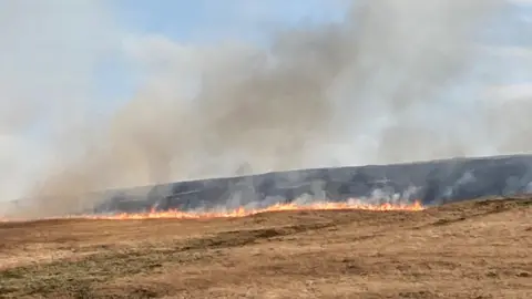 A line of yellow flames spreading across moorland with grey smoke rising into the blue sky