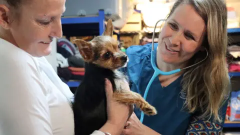 Bath Cats and Dogs Home A woman in a white top is holding a small Chihuahua dog while another woman in a blue top using a stethoscope and smiling gives the dog a health check