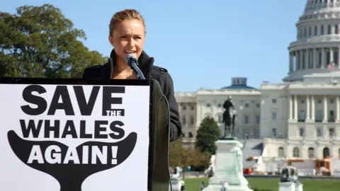 Getty Images Hayden Panettiere speaks at a press conference for ''Save The Whales Again'' on October 26, 2008 in Washington, DC.