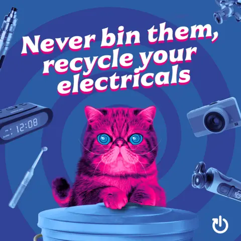 Durham County Council Hypnocat recycling mascot