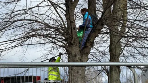 Ant Saddington/BBC Paul Powlesland in a tree in Wellingborough