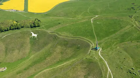 Historic England Archive/Heritage Images/Getty Images An aerial view of a green hillside and a white horse and an obelisk. There a field of rapeseed in the top left corner of the image.