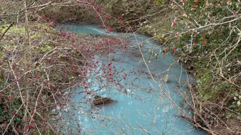 Jenny Thompson A bright blue river with lots of branches bearing red berries in the foreground. The colour of the water is a vivid light blue.