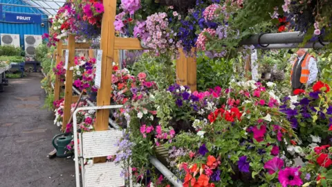 Flowers at a garden centre