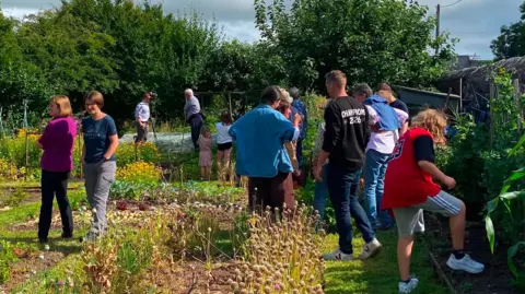 Adam Day A group of people work together on plots at Greystoke Allotments. The sun is shining and groups of children and adults are looking at the plants. The allotment is bordered by tall, established trees and a dry stone wall. 
