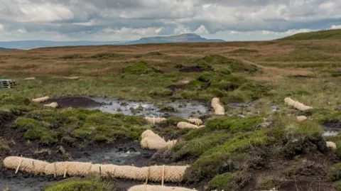 Yorkshire Wildlife Trust peat restoration work in the Yorkshire Dales