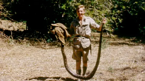 A younger Attenborough holds a large python in both hands as it dangles by its head and tail in a dry wooded area