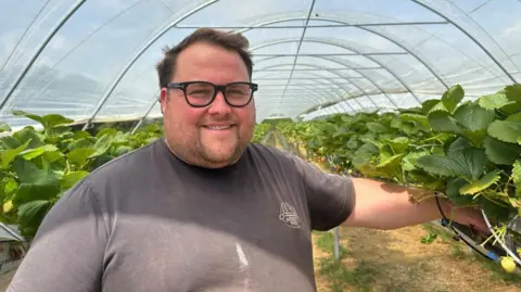 A man standing in front of polytunnels full of strawberries. The man has short brown hair and is wearing a dark grey polo shirt. 