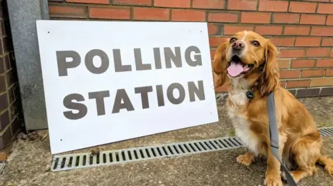 James Moloney A dog called Oliver Oliver outside a polling station in Northamptonshire