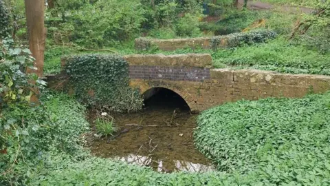 Gloucester City Council A brick bridge with a shallow, still river running underneath it. The low bridge is overgrown with ivy and vegetation, and the bricks seem to be cracked and unstable. The surrounding woods are full of trees and bushes, and you can see a faint footpath in the top right corner. 