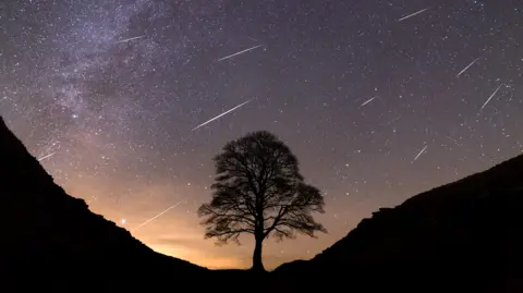 Dan Monk Kielder Observatory The Sycamore Gap histrion   earlier  it was chopped down   sitting nether  the stars and meteors, captured by astrophotographer Dan Monk.