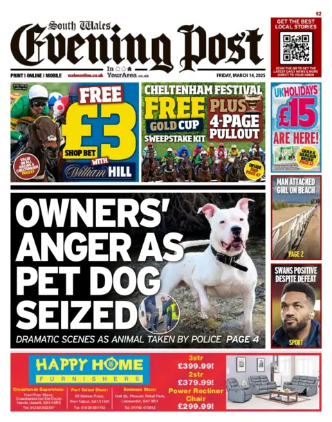 South Wales Evening Post The front page of the South Wales Evening Post has a picture of a white bulldog next the to the headline 'Owners' anger as pet dog seized'. On the right hand side is a column with two further headlines: 'Man attacked girl on beach', and 'Swans positive despite defeat'.