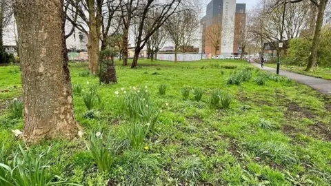 Image shows grass and trees on Bedminster Green in Bristol