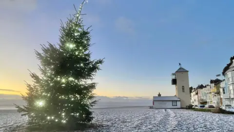 A large Christmas tree complete with lights sits on Aldeburgh beach, which is covered in frost on a clear day. There is a series of colourful properties to the right of the picture.