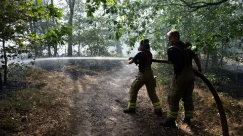 Two firefighters aim a hose jet at smoldering woodland