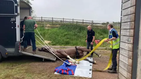 Mare and Foal Sanctuary Max the mannequin horse being transported