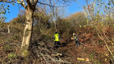 Butterfly Conservation Two people in high-visibility yellow vests are working on a hillside, clearing branches and bracken, leaving a more open area of land.