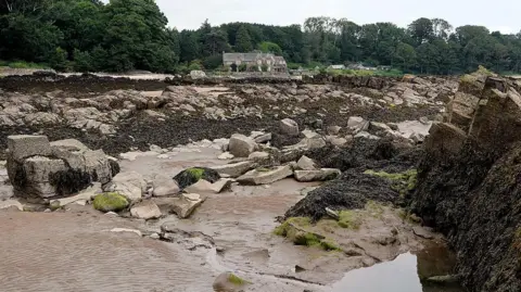 Andrew Curtis Arbigland