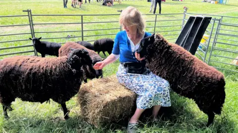 A woman sitting on a bale of hay on the Downs in Bristol has three black sheep around her in a pen