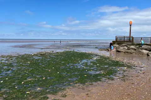 Clare Worden/BBC General view of the beach. The sandy beach gives way to a line of seaweed and leads out to the water at low tide.