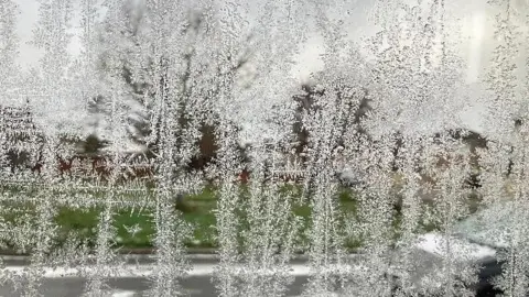 Julie Malooley/BBC Weather Watchers Escarcha y hielo en las plantas junto a un lago