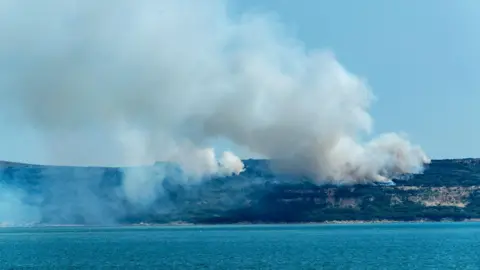 Graham Wiffen Smoke rising above the site of the fire on the Isle of Wight.