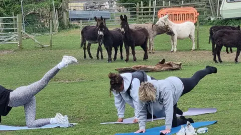 Sharon Rookes Three people in a field on yoga mats pull a yoga pose which involve them on all fours with one leg stretched out behind them. Seven donkeys - five black, one light brown and one white - are in the background although only two are paying any attention to the contorted humans.