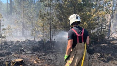 Firefighter at 2020 Wareham Forest fire