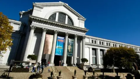 Smithsonian National Museum of American History building with large columns and tourists