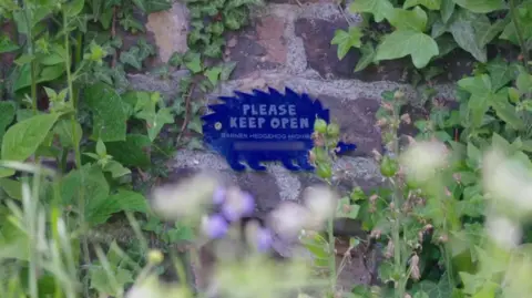 Blue hedgehog-shaped sign on a brick wall reading “Please keep open – Barnes Hedgehog Highway,” surrounded by green plants.