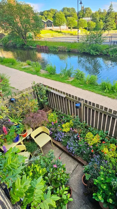 A garden filled with green, pink and purple plants on the canal side.