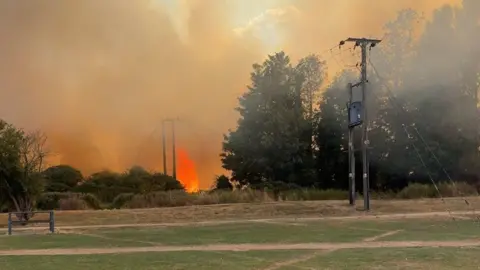 Ollie Fox A wildfire burning on a field behind a row of trees.