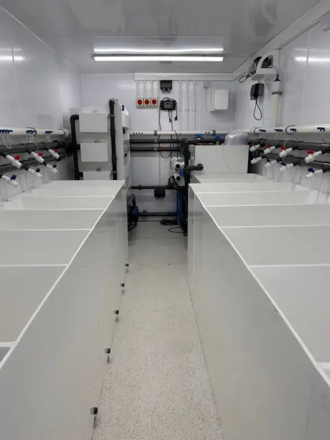 North Bay Innvoations A room with white compartments down either side and nozzles on the walls.