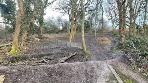 Cycle paths in the woodland on a cloudy day. There are small trees.
