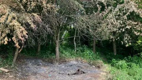 An area of scorched earth and treeline in a nature reserve
