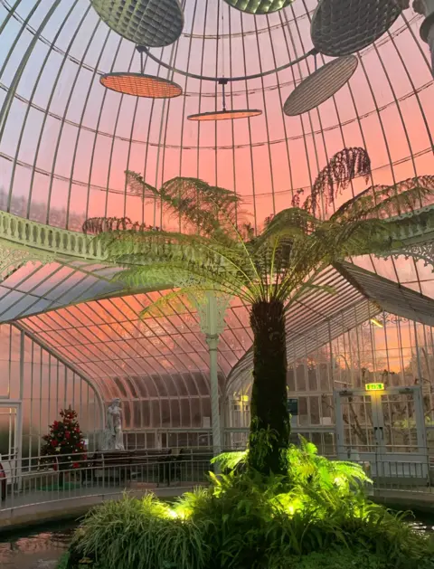 Abi Reed. Un gran invernadero de cristal con un alto helecho arborescente en el centro, iluminado con luz verde, bajo un techo de cristal curvo que brilla de color rosa con la puesta de sol. Al fondo se ven un árbol de Navidad decorado y una estatua.