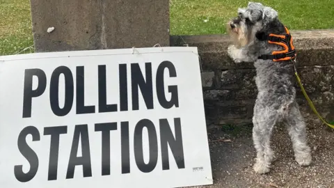 A dog on a leash by a sign that reads Polling Station. The dog has raised its paws on a low stone wall.