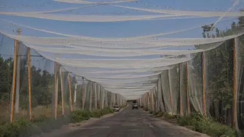 Reuters Anti-drone hanging a quiet jump in the Ukrainian area of Donetsk.