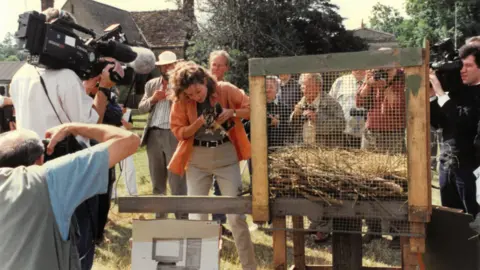 LEICESTERSHIRE AND RUTLAND WILDLIFE TRUST A woman dressed in an orange jacket holds a young chick in 1996, surrounded by lots of men taking photographs and two cameramen. Beside her is an osprey nest, behind a sheet on mesh on a wooden stand.