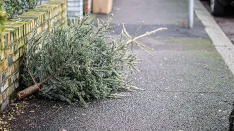 Getty Images Used christmas tree lying on a concrete pavement after celebration having been dumped on the floor.