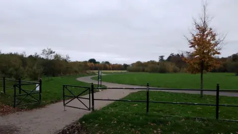 Image of Drumahoe Park showing a chain link fence and gate leading into the park and grass on either side of a concrete path with trees scattered around.