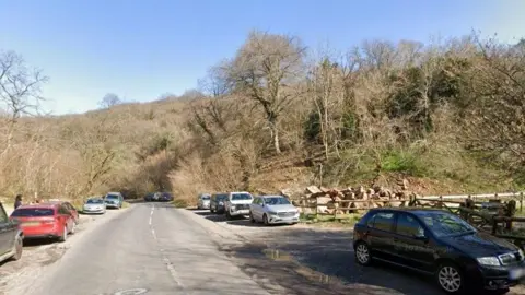 Google Cheddar Gorge in Somerset with cars parked and the impressive cliffs visible above a bank of trees, grass and rocks