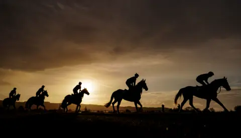 A backlit image of horses trailing up the gallops as the sun rose before the festival began.