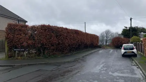 A road leading to a dead end with a brown hedge on one side and a white car parked on the other
