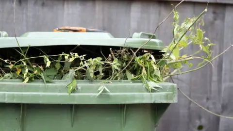 Getty Images Green bin