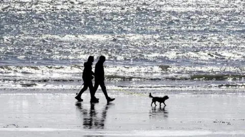 A couple's silhouette walking a dog on the beach.