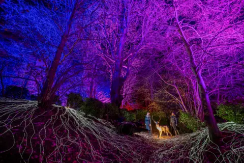 Phil Wilkinson Two people stand in a purple-lit forest next to a light feature which looks like a deer